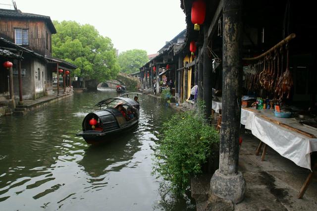 细胞分裂6